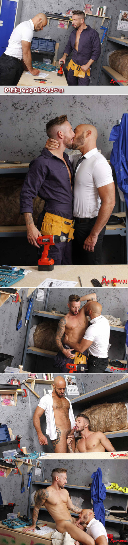 Male contractor and male builder making out in the workroom
